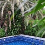 Review resort Phú Quốc: Cẩm nang toàn tập và kinh nghiệm đặt phòng từ A-Z