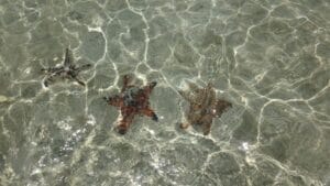 test 4