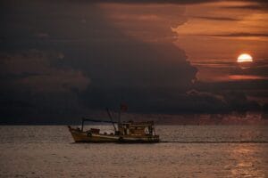 Kinh nghiệm tour câu mực đêm Phú Quốc: Trải nghiệm săn ‘chiến lợi phẩm’ giữa đại dương - Review Địa Điểm Tham Quan & Đặc Sản Phú Quốc