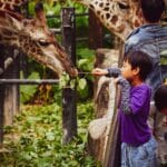 Bản đồ khu vui chơi Phú Quốc: Hướng dẫn khám phá trọn vẹn từ A đến Z