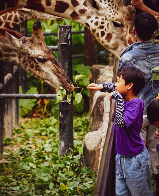 Bản đồ khu vui chơi Phú Quốc: Hướng dẫn khám phá trọn vẹn từ A đến Z