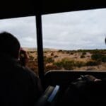 Review Safari Phú Quốc: Kinh nghiệm vui chơi trọn vẹn từ A đến Z