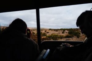 Review Safari Phú Quốc: Kinh nghiệm vui chơi trọn vẹn từ A đến Z - Khách Sạn Phú Quốc