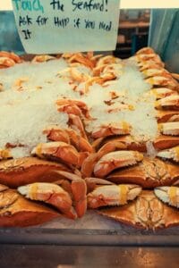 Ăn gì làng chài Hàm Ninh? Cẩm nang thưởng thức hải sản ngon chuẩn vị - Kinh Nghiệm Du Lịch Phú Quốc