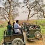 Ăn gì Safari và kinh nghiệm khám phá toàn diện thiên đường giải trí Phú Quốc