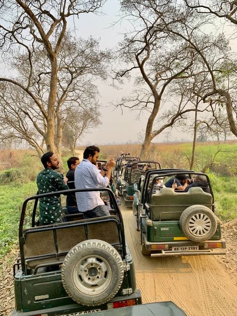 Ăn gì Safari và kinh nghiệm khám phá toàn diện thiên đường giải trí Phú Quốc - du lịch phú quốc