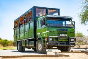 Bảng giá tour đi safari và cẩm nang khám phá vườn thú bán hoang dã hot nhất hiện nay - du lịch phú quốc