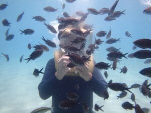 Bảng giá tour trọn gói đi bộ dưới đáy biển Seawalker chi tiết từ A-Z - Tour Du Lịch Phú Quốc