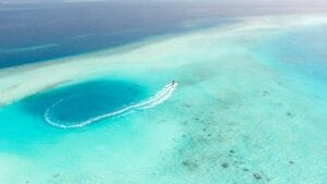 Kinh nghiệm đặt tour cano Hòn Gầm Ghì: Khám phá vương quốc san hô từ A-Z - Tour Du Lịch Phú Quốc