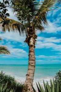 Top 5 hành trình tour đảo 2 ngày 1 đêm hấp dẫn nhất cho kỳ nghỉ cuối tuần - Combo Vé Máy Bay & Vé Tàu