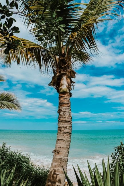 Top 5 hành trình tour đảo 2 ngày 1 đêm hấp dẫn nhất cho kỳ nghỉ cuối tuần